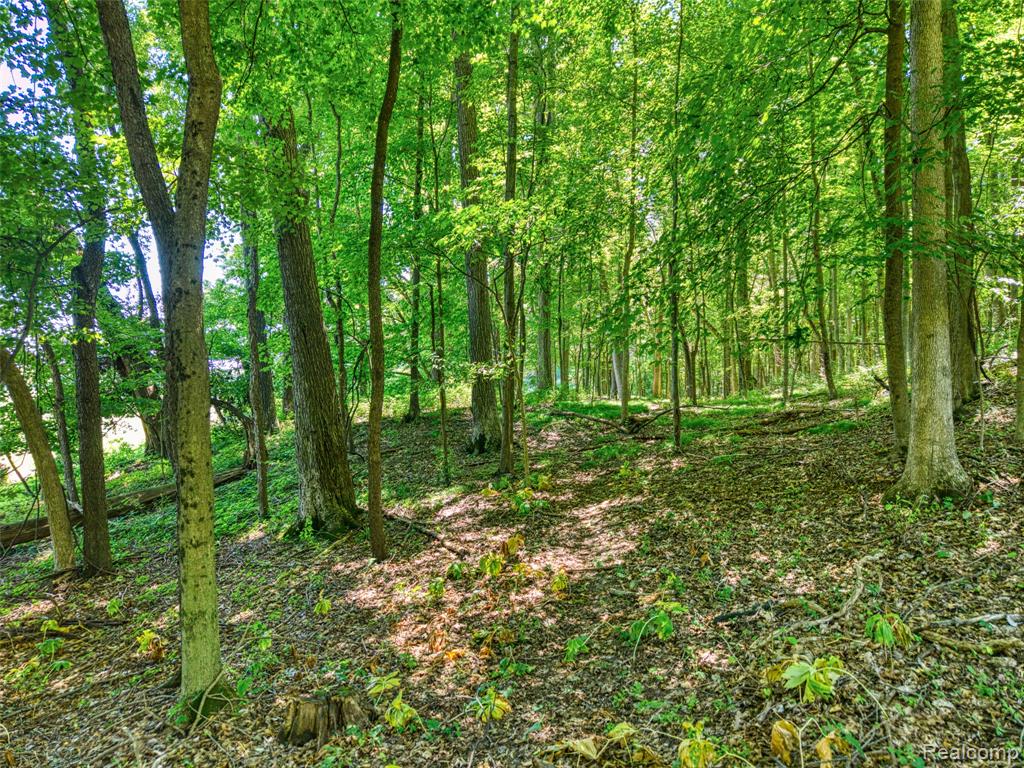 5663 Iosco Mountain Road, Gregory, MI 48137 — Photo 4
