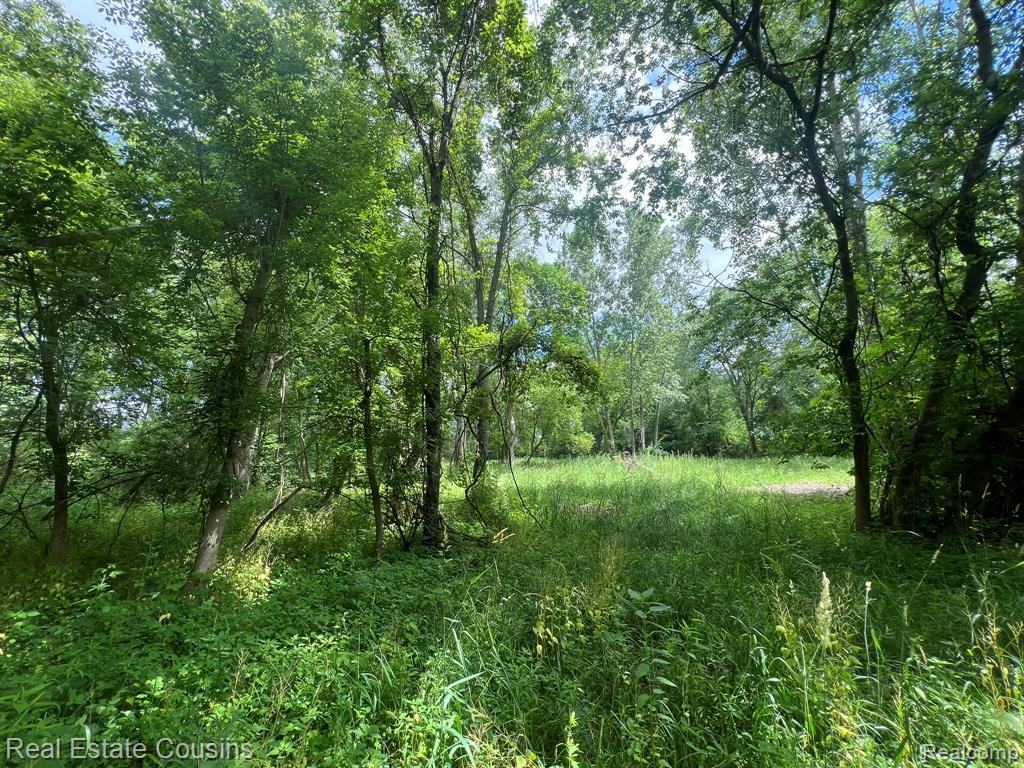 5440 Lobdell Road, Fenton, MI 48430 — Photo 9