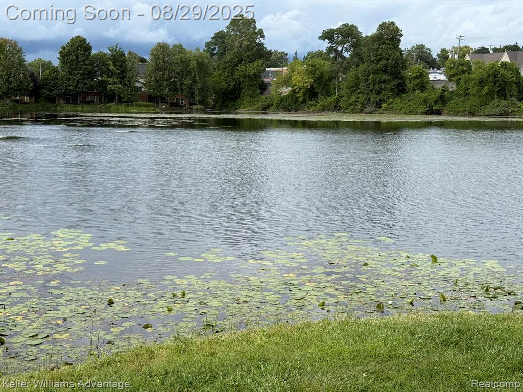 934 Prince Street, Milford, MI 48381 — Photo 54