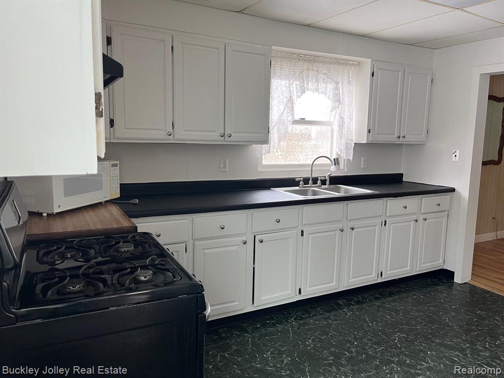8576 COUNTRY CLUB Drive, Pinckney, MI 48169 — Photo 4