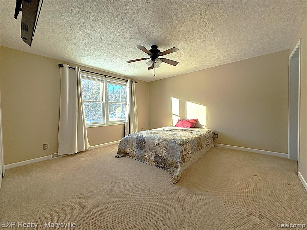 100 Hickory Lane, Yale, MI 48097 — Photo 20
