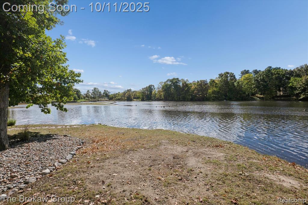 10216 Mill Pointe Drive, Goodrich Vlg, MI — Photo 2