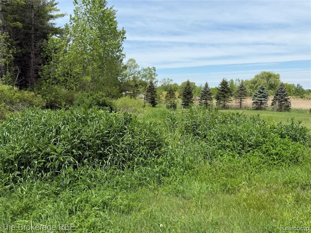 3020 Merwin Road, Lapeer, MI, 48446