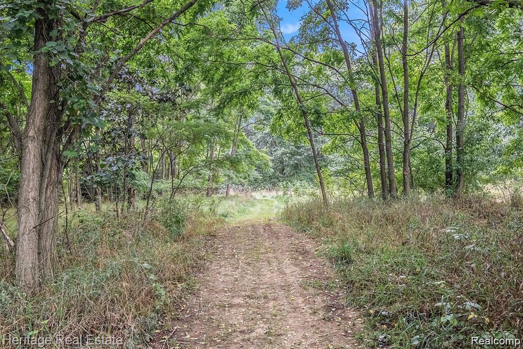 4694 HERD Road, Metamora, MI 48455 — Photo 43