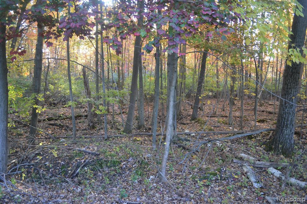 6375 JOANNE Street, Lake, MI 48632 — Photo 48