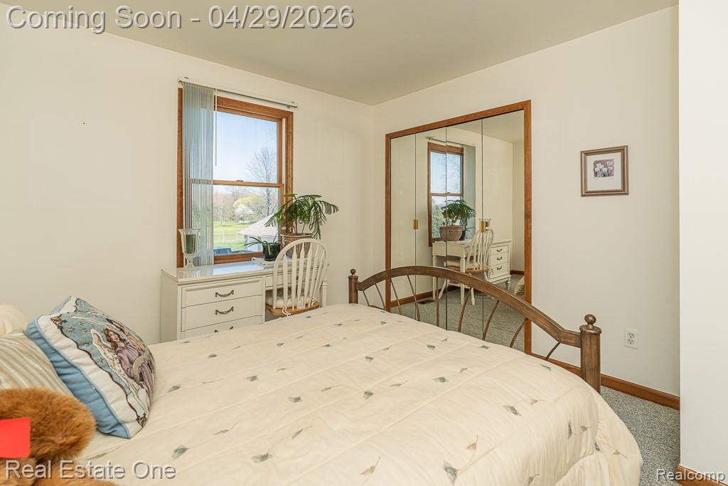 3739 Bethuy Road, Casco, MI 48064 — Photo 20