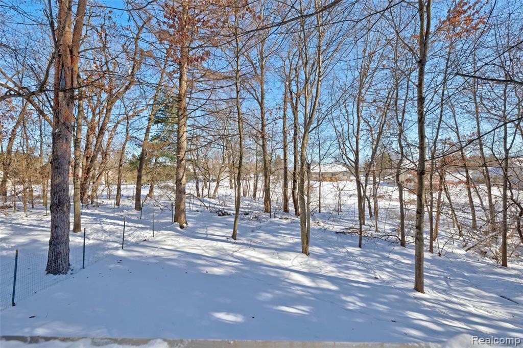9619 Tree Top Court, Pinckney, MI, 48169
