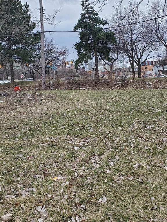 2527 DUBOIS, Detroit, MI 48207 — Photo 5