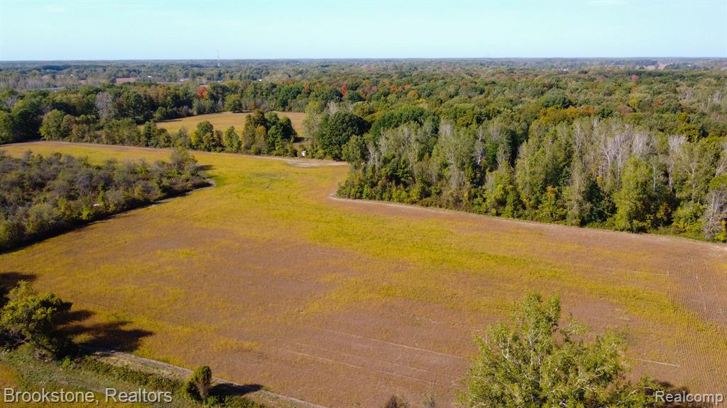 8390 SPARLING Road, Wales, MI — Photo 18