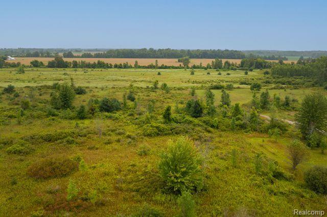 Vacant Land Mortimer Line Road, Lexington, MI 48450 — Photo 5