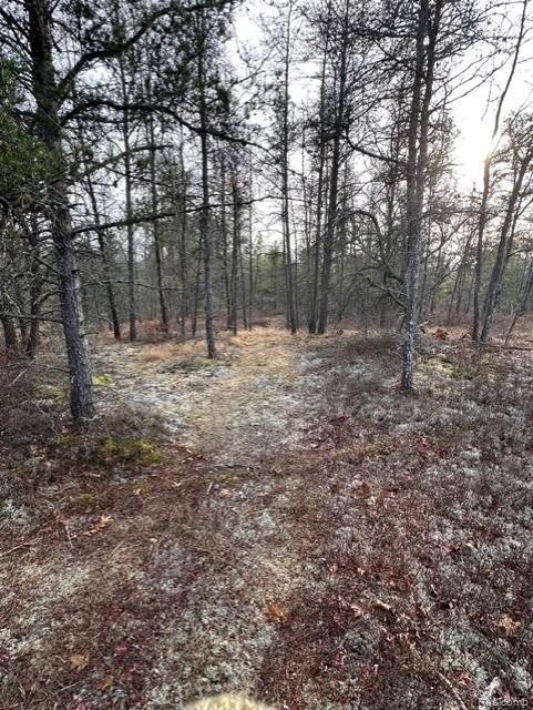 VL W AuSable Point Road, Oscoda, MI 48750 — Photo 6