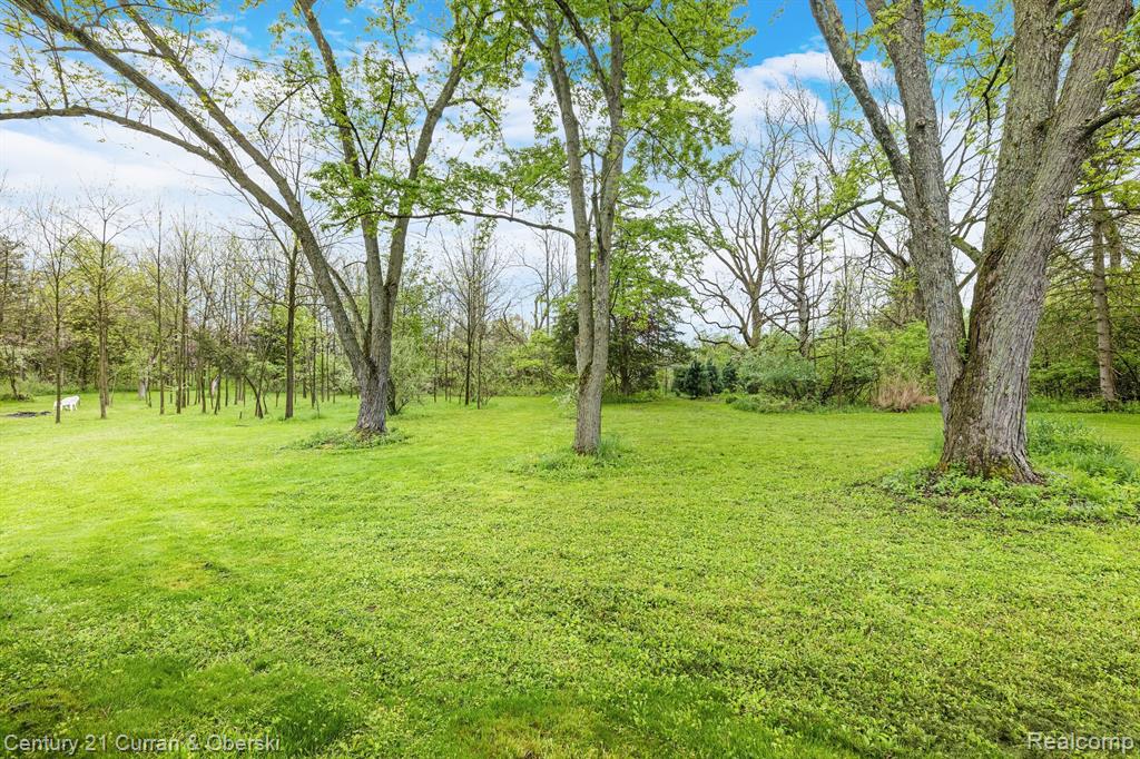5590 VREELAND Road, Ann Arbor, MI 48105 — Photo 6