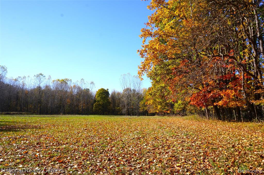 1495 Briggsville Road, Fowlerville, MI 48836 — Photo 33