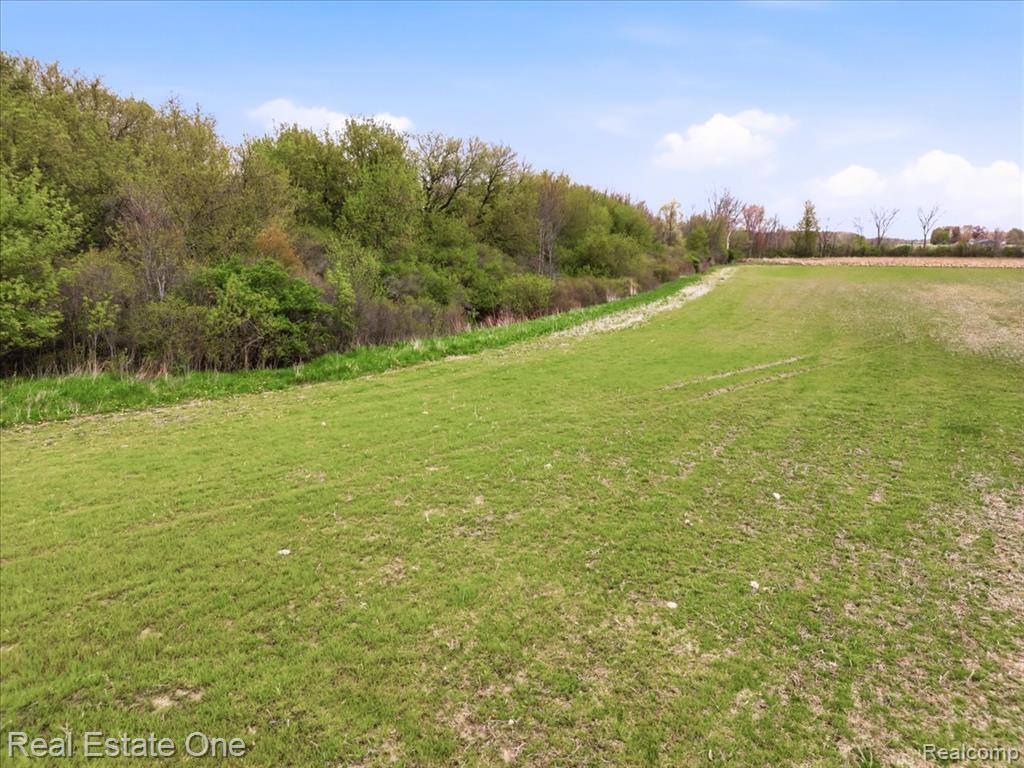 2320 Braidwood Road, Riley, MI — Photo 8