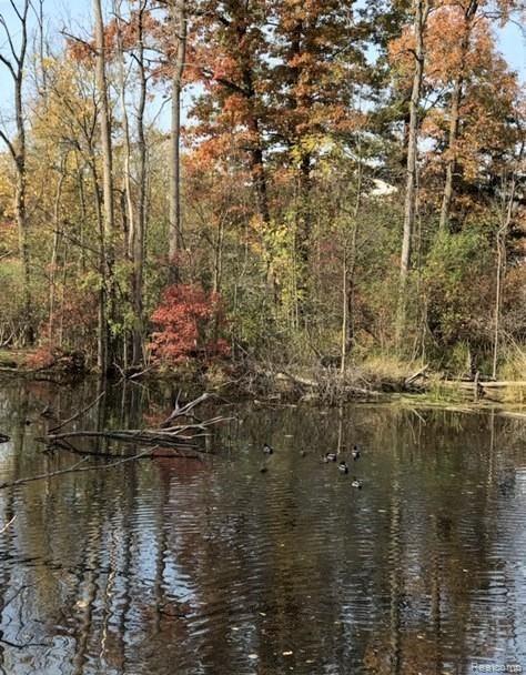 27102 CHANTEL, Walled Lake, MI 48390 — Photo 15