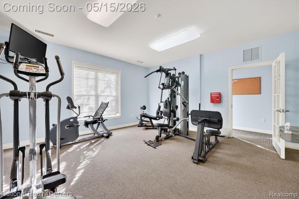 28657 Oakmonte Circle W, New Hudson, MI 48165 — Photo 43