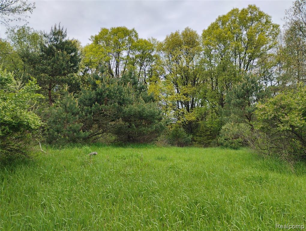 000 Middle V/L 18.12 Acre Middle, Highland, MI