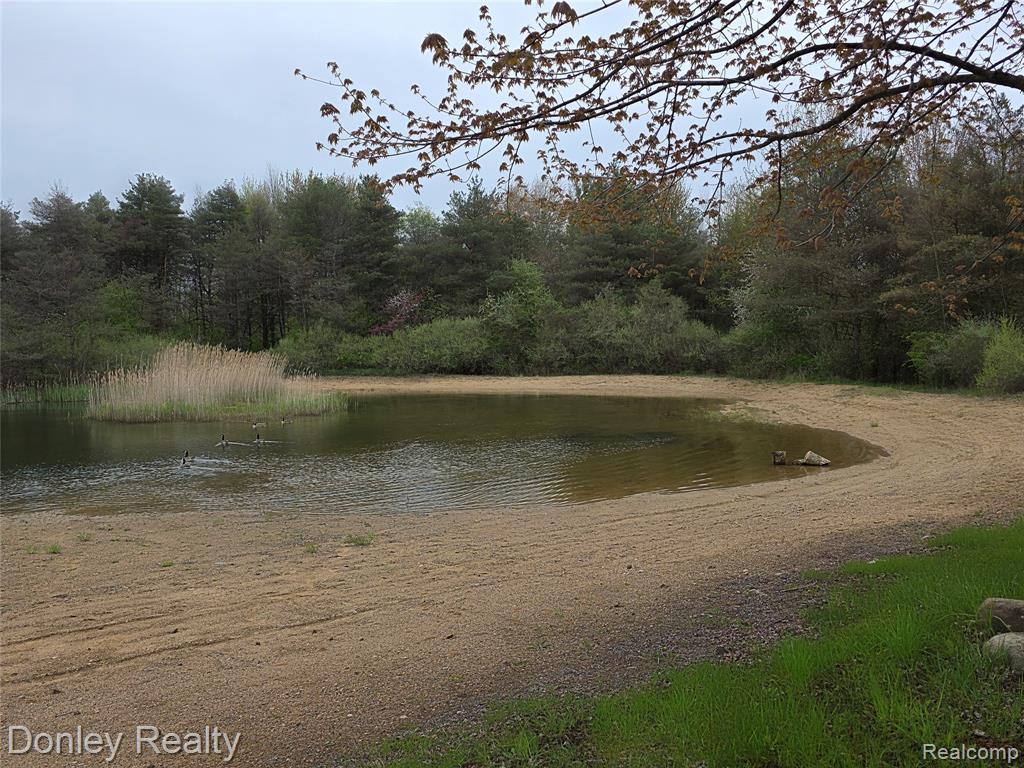 7751 Vincent Road, Croswell, MI 48422 — Photo 12