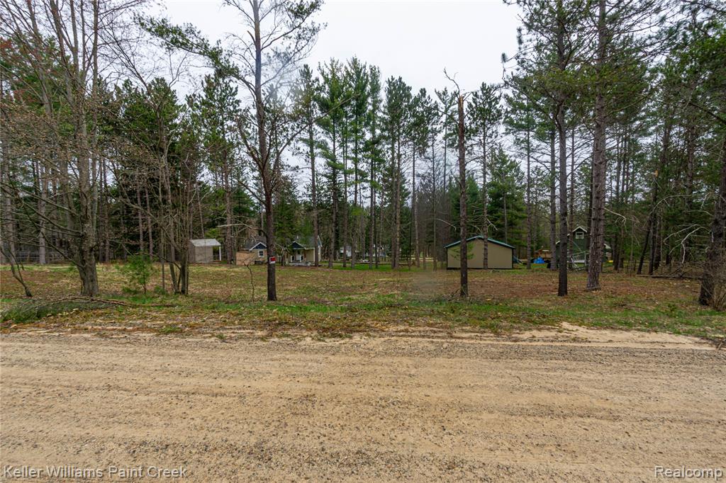 VL Clearview, Gerrish, MI 48653 — Photo 6