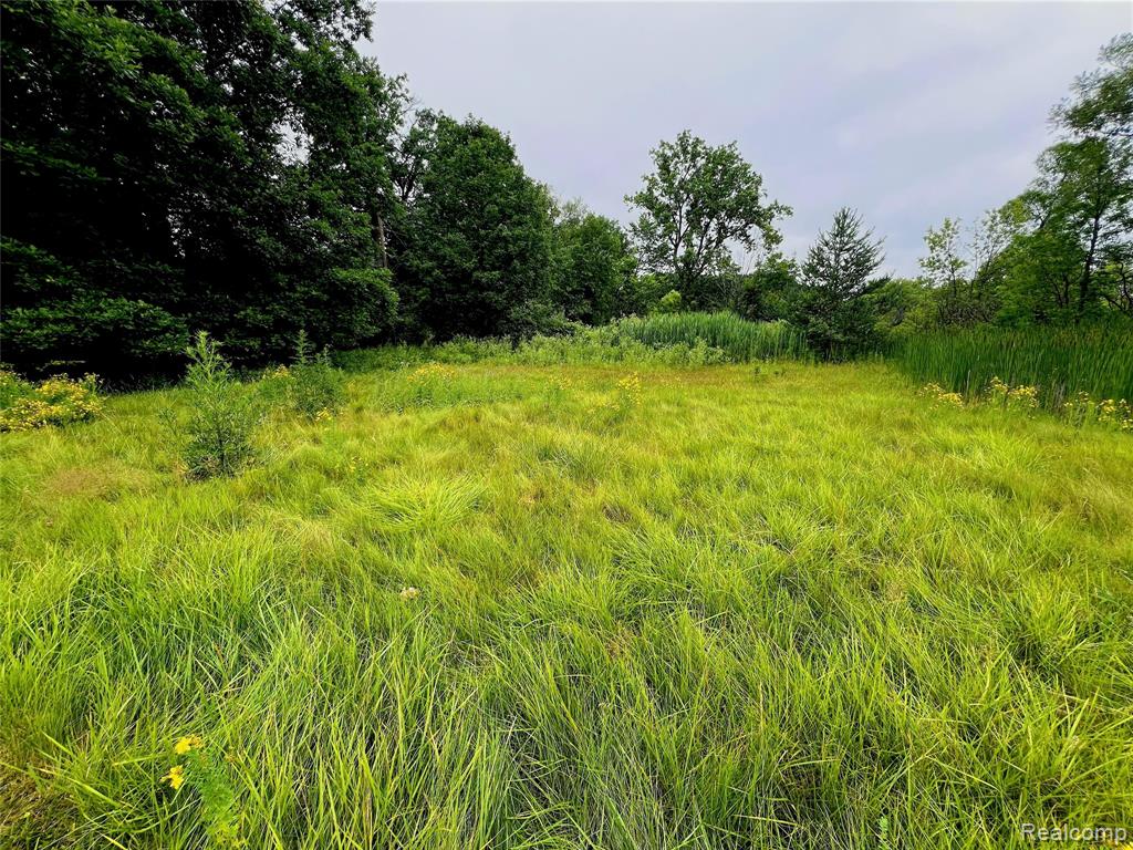 Lot 94 Hiller Road, West Bloomfield, MI 48324 — Photo 4