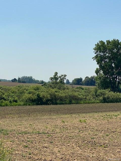 7451 Fostoria Road, Mayville Vlg, MI 48744 — Photo 19