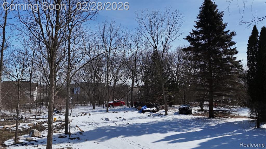 6106 E River Road, Flushing, MI 48433 — Photo 10