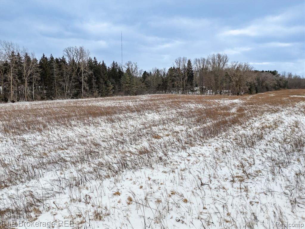 S Gera Rd, Birch Run, MI 48415 — Photo 18