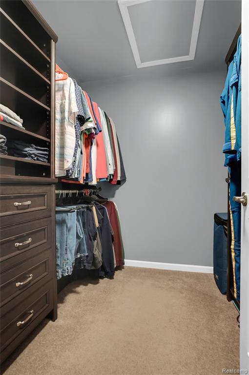 3346 Kneeland Circle, Howell, MI 48843 — Photo 18