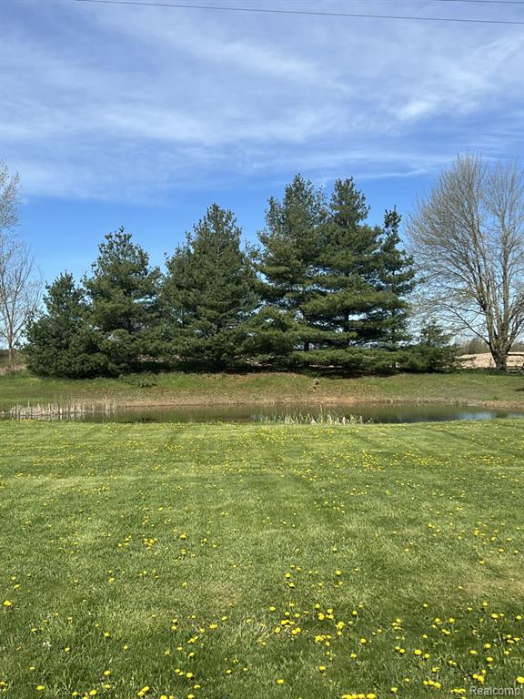 6241 Barnes Road, Brown, MI 48416 — Photo 2