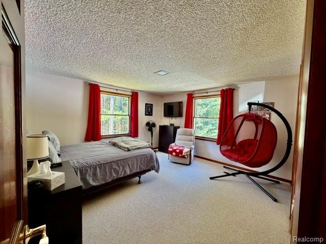 6087 Cyclone Road, Otter Lake, MI 48464 — Photo 20