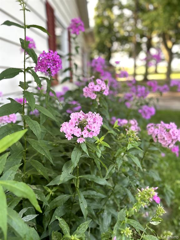 6181 LOBDELL Road, Linden, MI 48451 — Photo 36