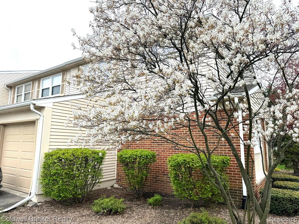 5147 BUCKINGHAM, Troy, MI 48098 — Photo 3
