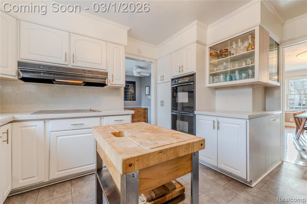 19480 Afton Road, Detroit, MI 48203 — Photo 42
