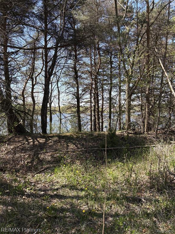 Parcel 3 Pineway Trail, Howell, MI 48855 — Photo 9