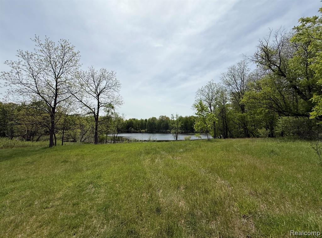 8450 Pepper Road - Photo 2