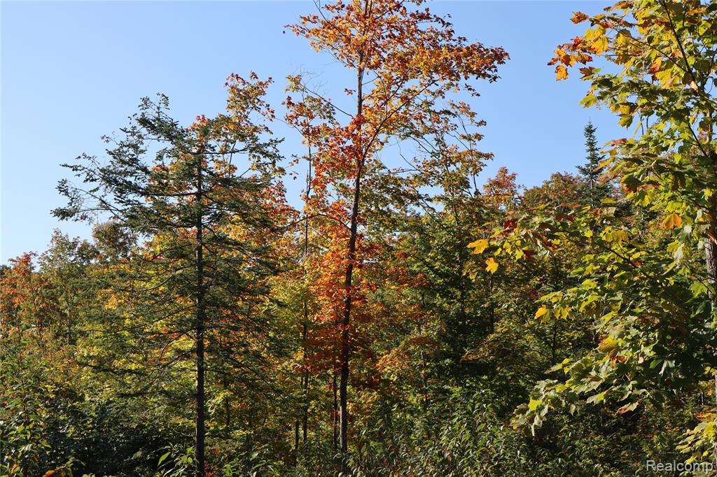 Lot D W Pendills Lake Road, Brimley, MI 49715 — Photo 21