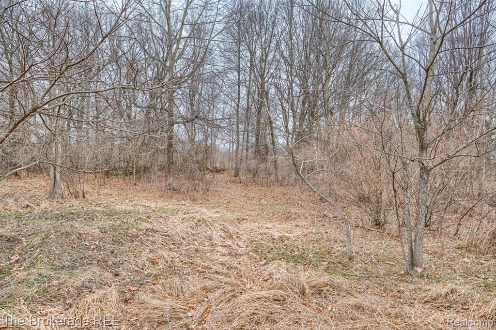 2409 Granger Road, Ortonville, MI 48462 — Photo 15