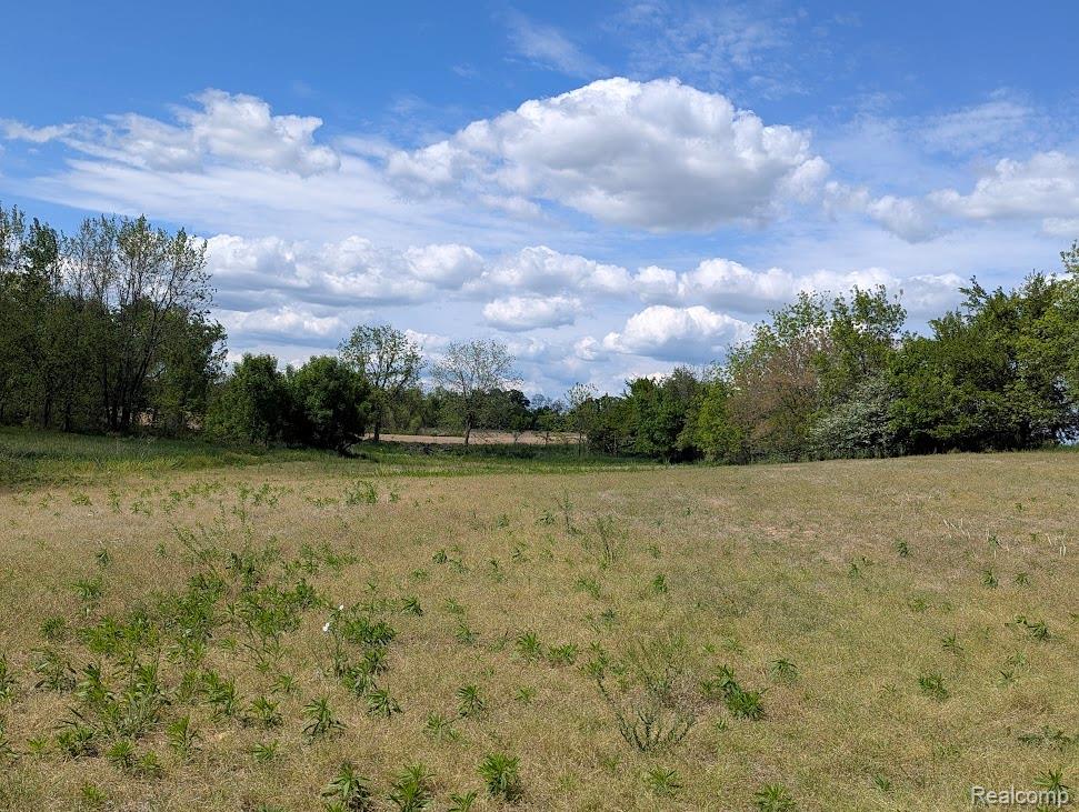 Parcel D - Hogan Road, Linden, MI 48451 — Photo 12