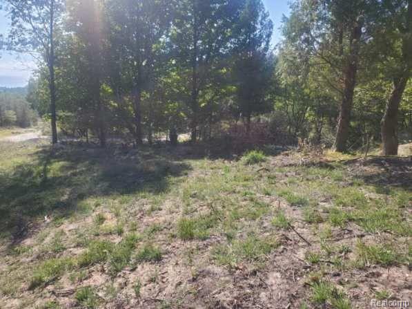 Parcel A Lake Bluff Drive, Arcadia, MI 49613 — Photo 7