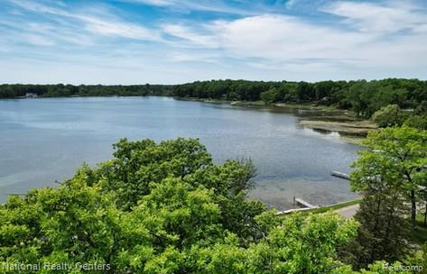 1494 Maxfield Road, Hartland, MI 48353 — Photo 14