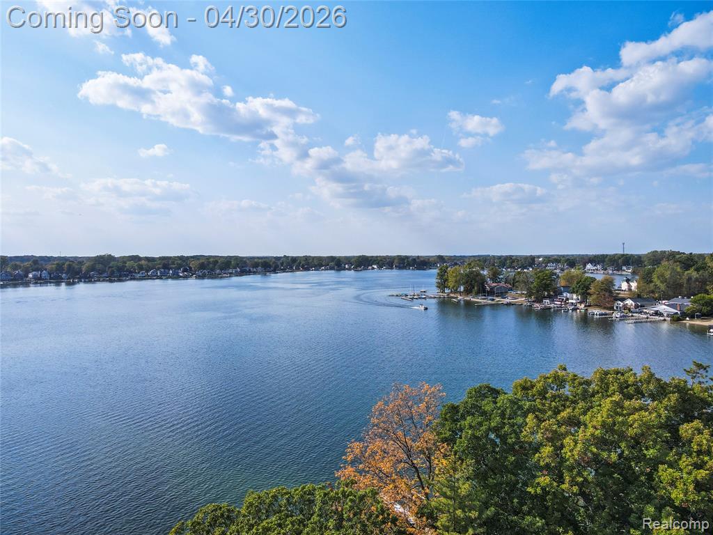 12210 Mantawauka Drive, Fenton, MI 48430 — Photo 61