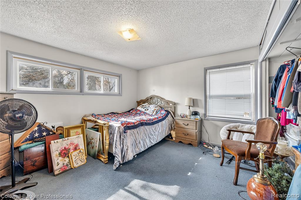 132 W Main Street, Mayville Vlg, MI 48744 — Photo 15