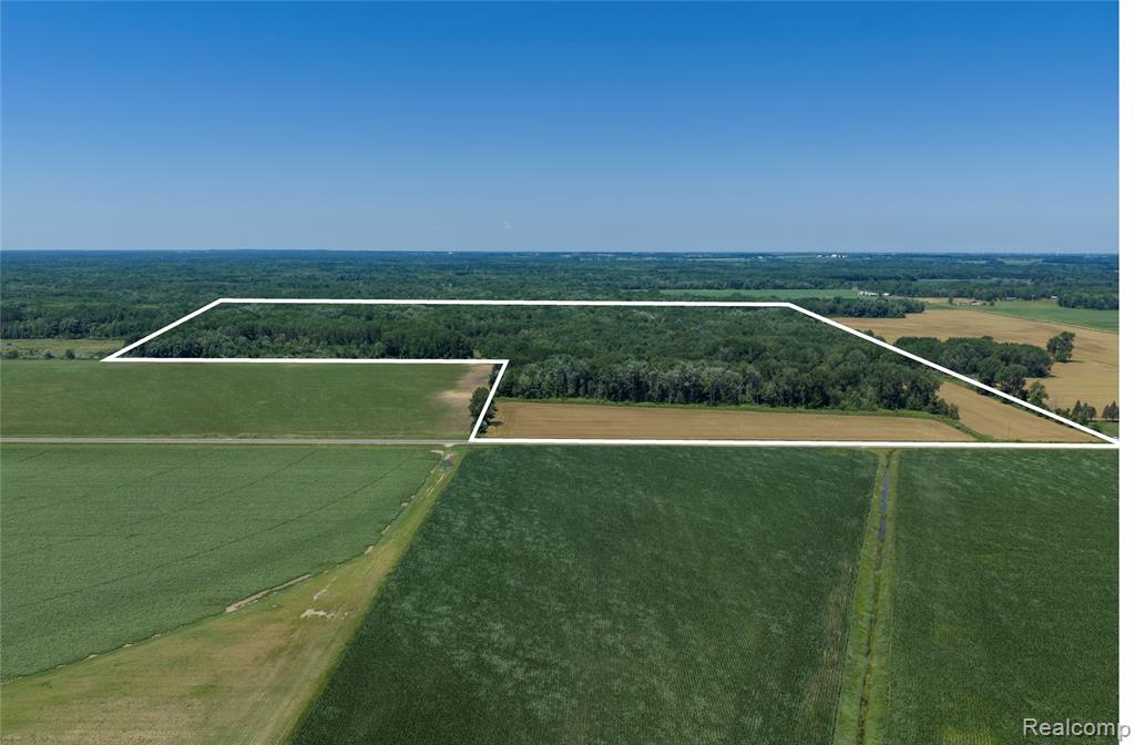 000 Dodge Rd, Cass City, MI 48726