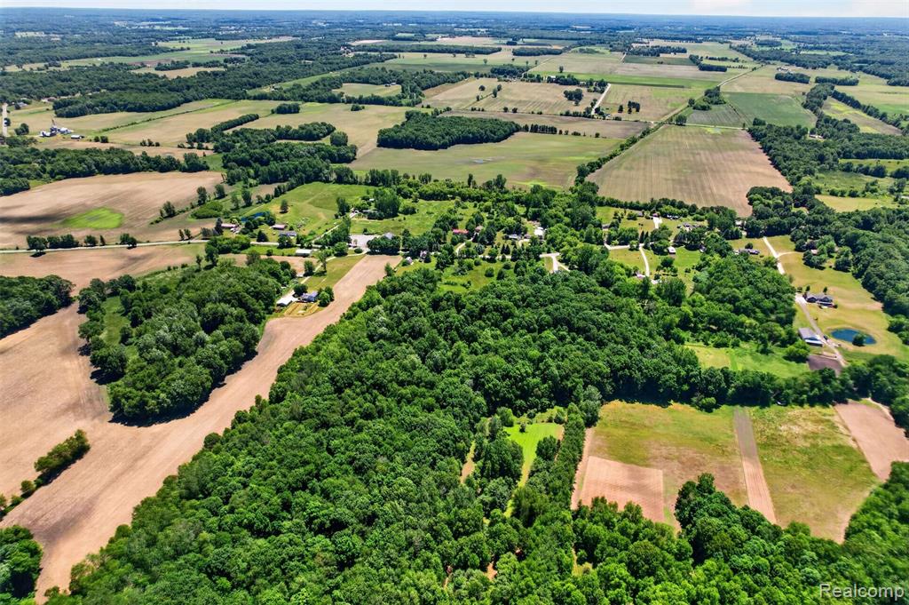 V1 Murray Road, Dansville, MI 48819 — Photo 11