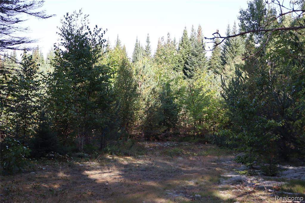 Lot D W Pendills Lake Road, Brimley, MI 49715 — Photo 48