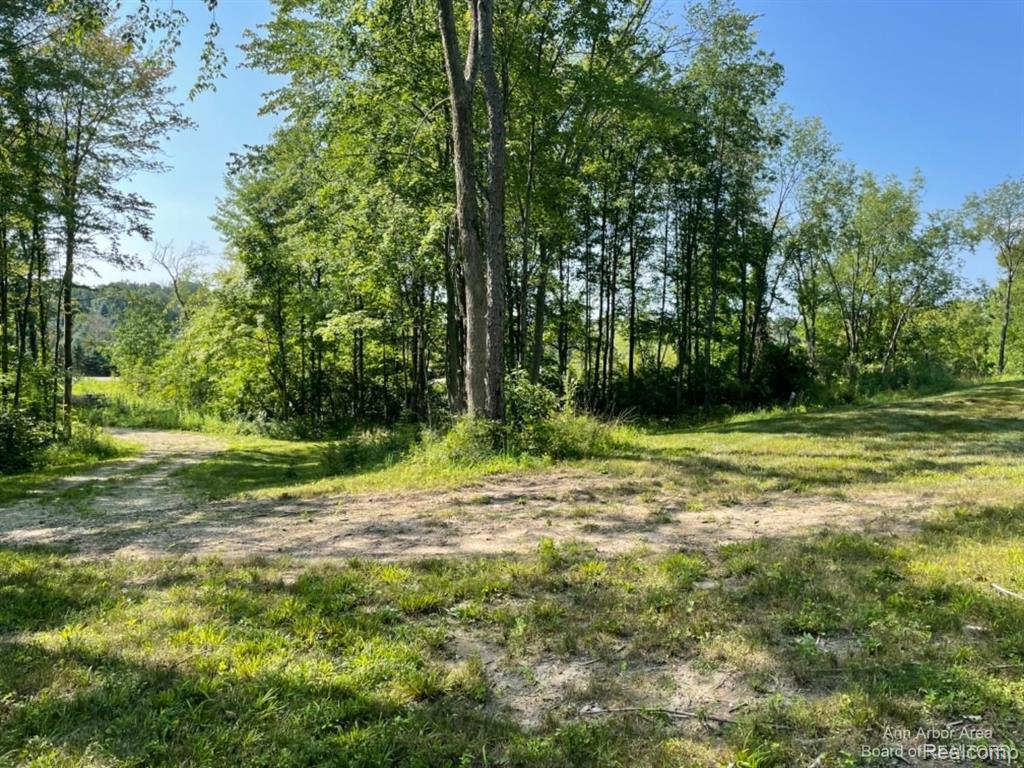 VL Denton Hills Road, Fenton, MI 48430 — Photo 13