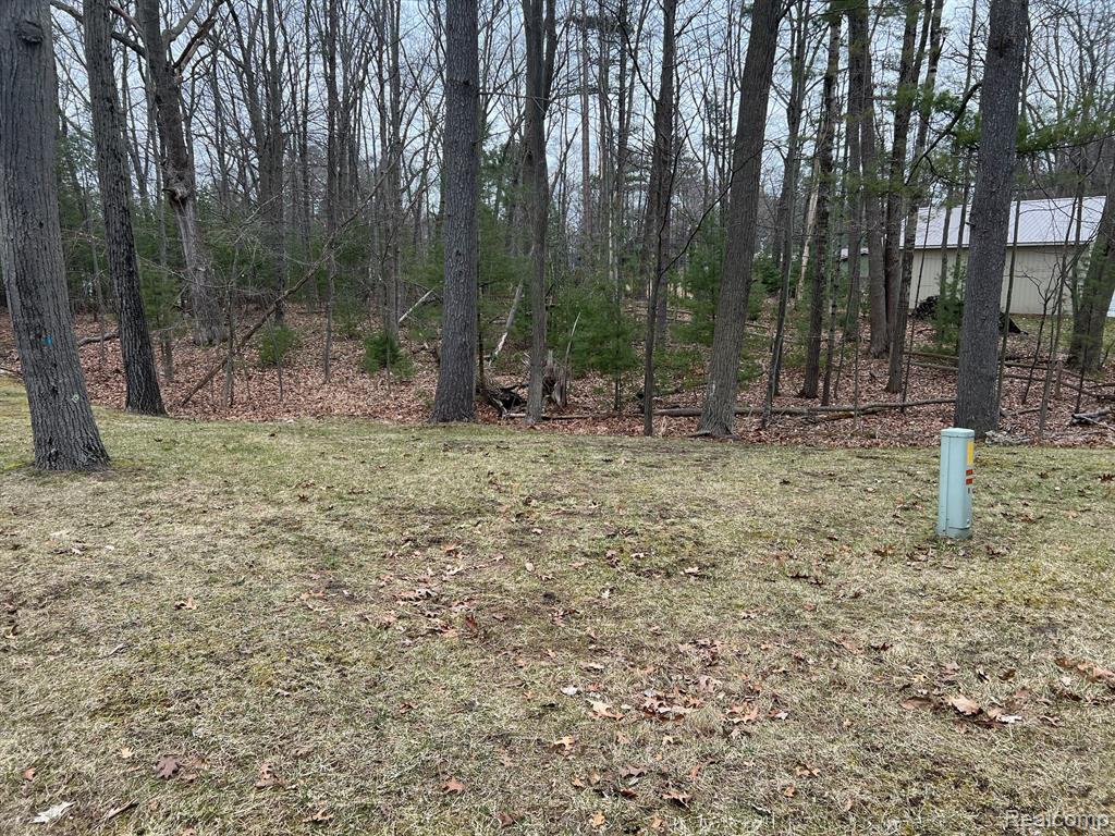 5349 E 8TH Street, Au Gres, MI 48703 — Photo 6