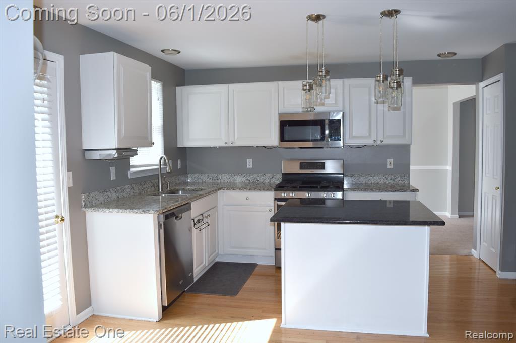 1272 POPPY HILL Drive, Oxford, MI 48371 — Photo 3
