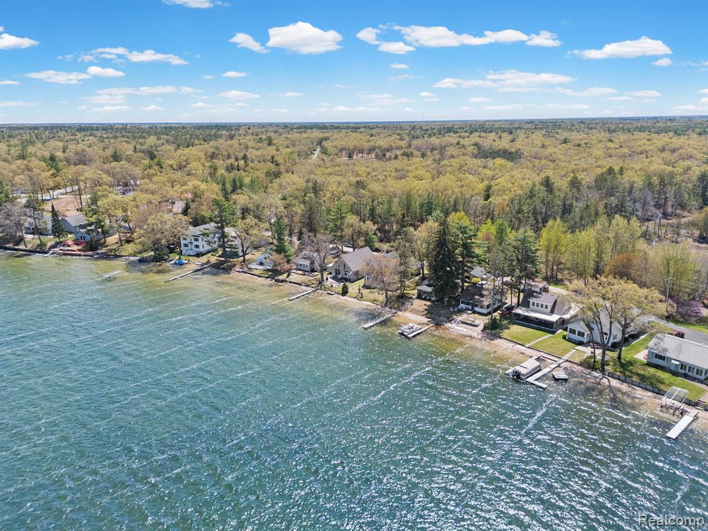 1434 Lake Drive, National City, MI 48748 — Photo 9