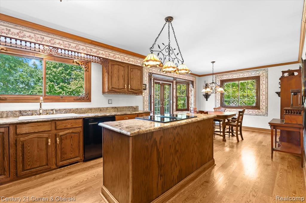 42620 Bradner Road, Northville, MI 48168 — Photo 14